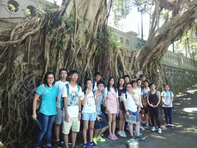 Students were studying the stonewall trees in the King George V Memorial Park.