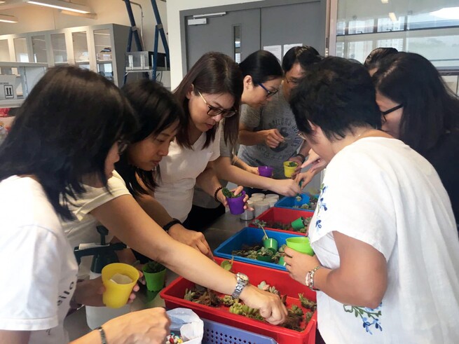 Participants were choosing their favorite plants in making flower pots afterwards.