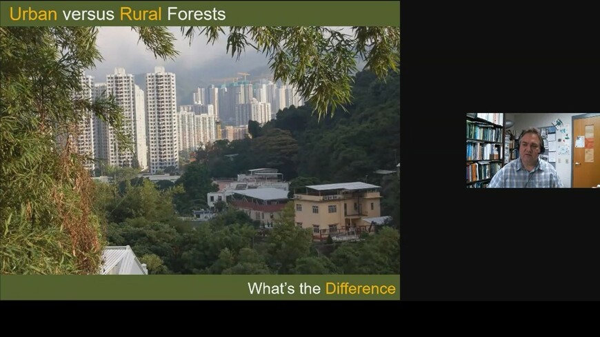 Prof. Richard HAUER - What happens when we take the native tree out of the forest?