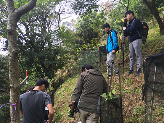 researchers are examining trees on a slope